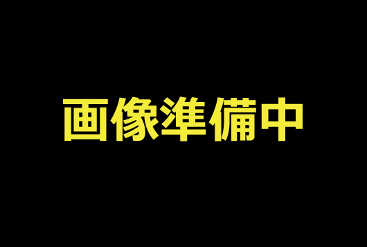 04月23日、新作が218枚入荷しました。注文は5枚以上でお願いいたします。◆◆◆郵便番号は正確に入力して下さい。◆◆◆